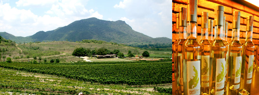 top 5 things to do in hua hin - visit a wine yard